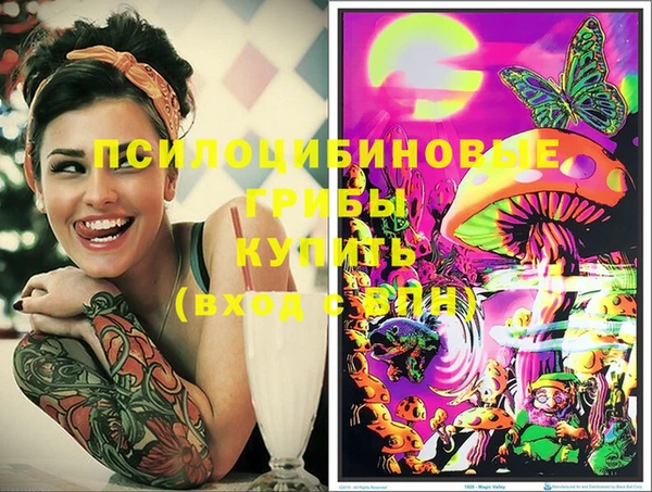 синтетический гашиш Алексеевка