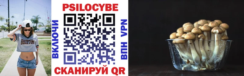 OMG как войти  Мураши  Галлюциногенные грибы Psilocybe 
