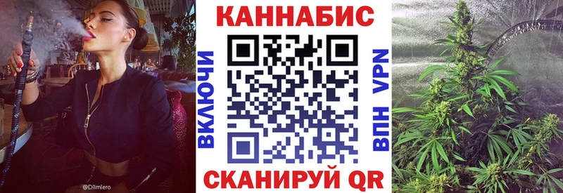 МАРИХУАНА ГИДРОПОН  Мураши 